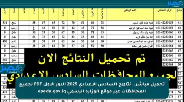 تحميل مباشر.. نتائج السادس الإعدادي 2025 الدور الأول PDF لجميع المحافظات عبر موقع الوزارة الرسمي epedu.gov.iq